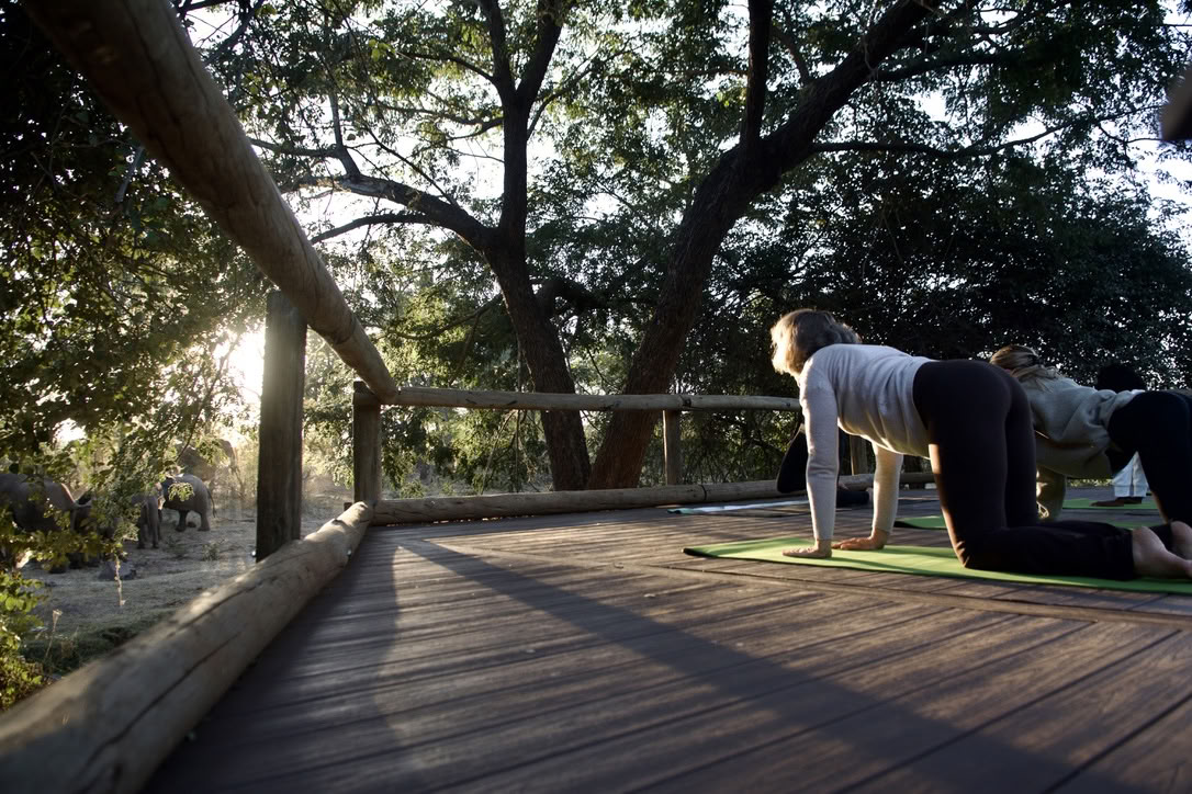 Yoga con gli elefanti