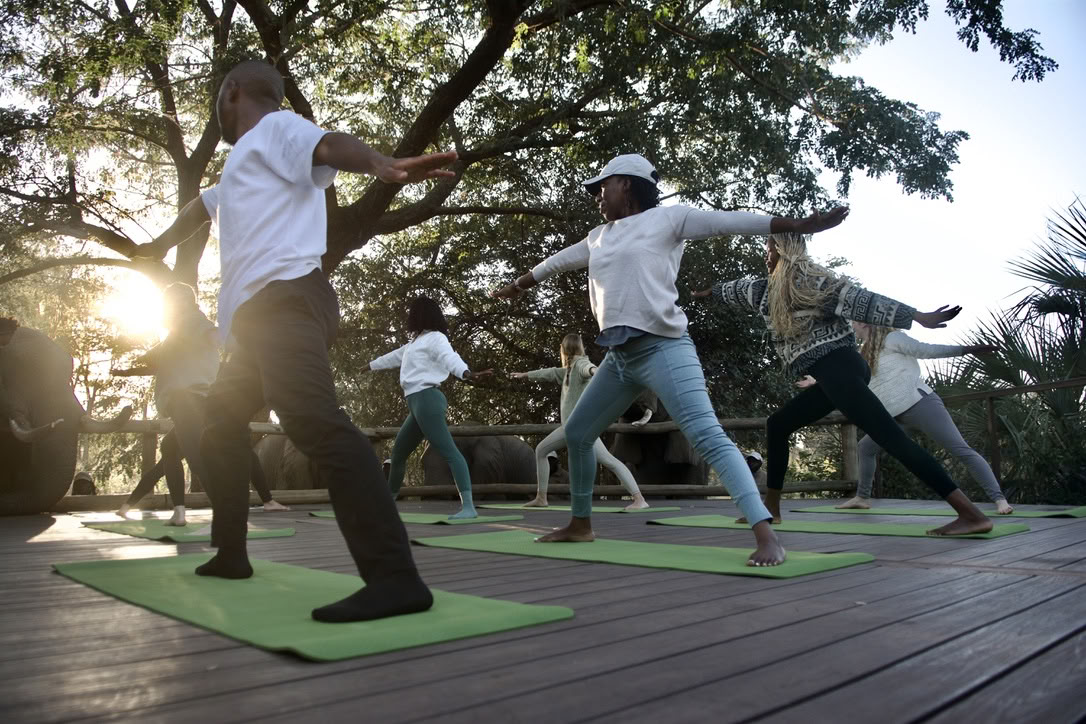 Yoga con gli elefanti