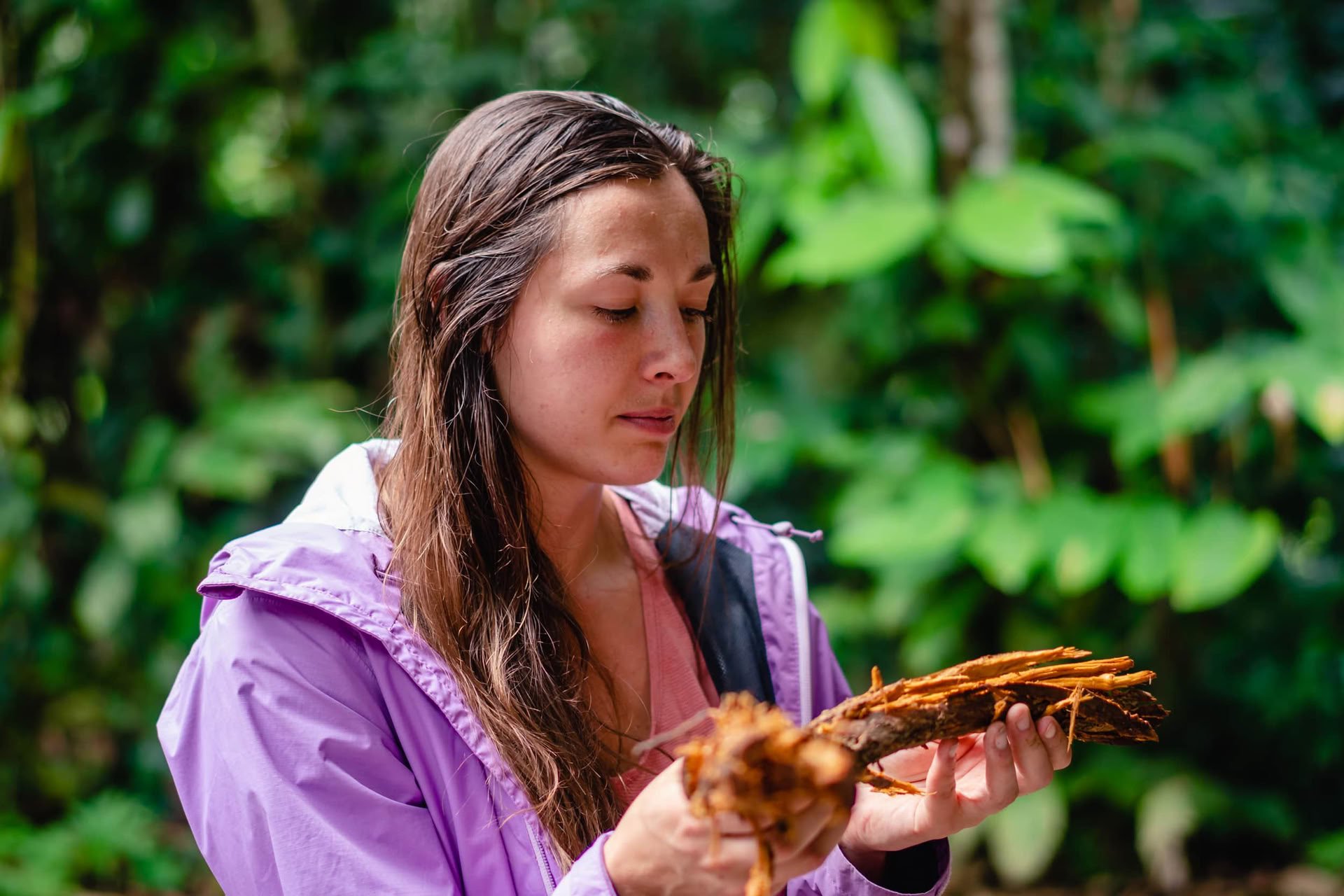 Ayahuasca August 2026 Ritiro di Rinnovamento (12 Giorni)