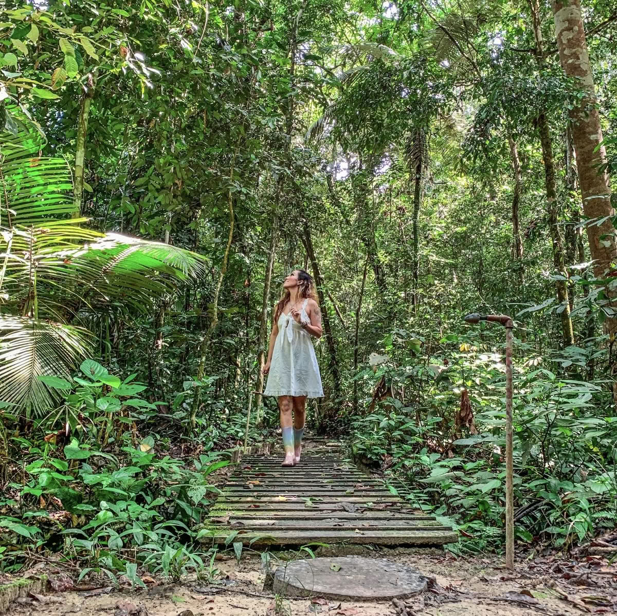 Ayahuasca Settembre 2026 Ritiro di Rinnovamento (8 Giorni)