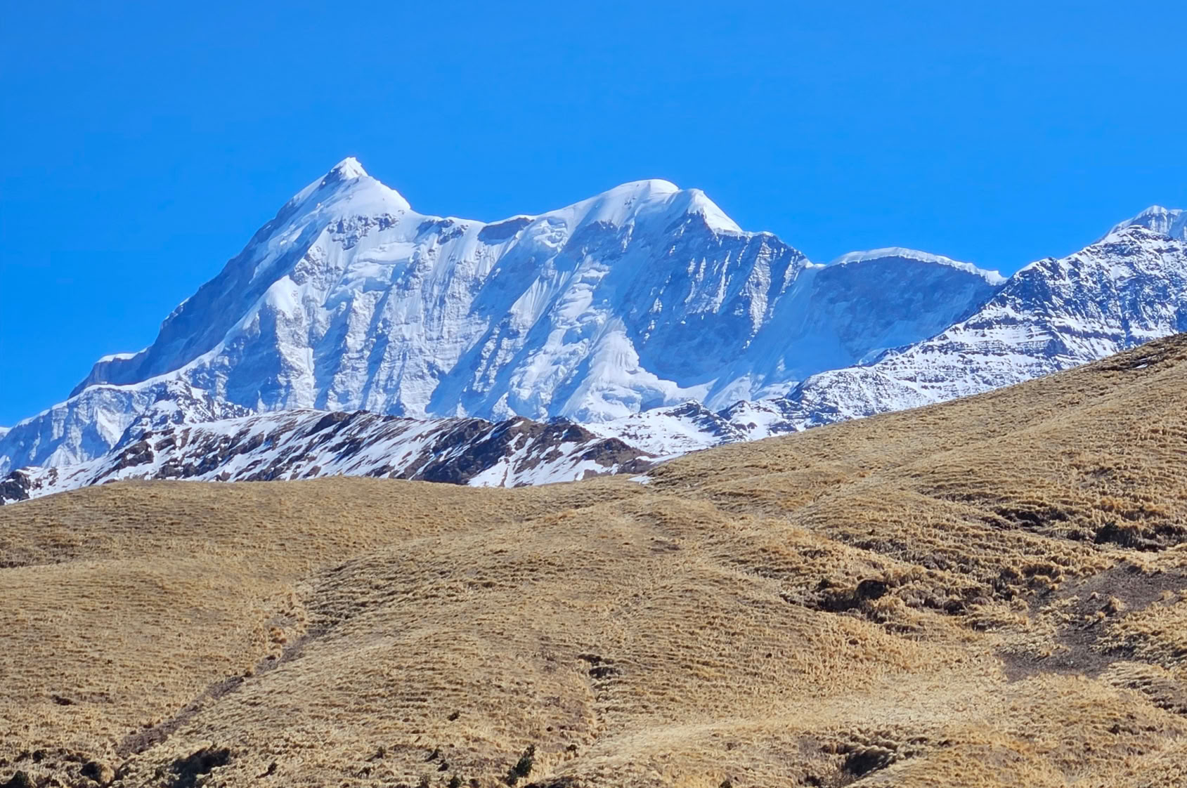 Trekking a Bedni Bugyal – dal 9 al 13 luglio 2026