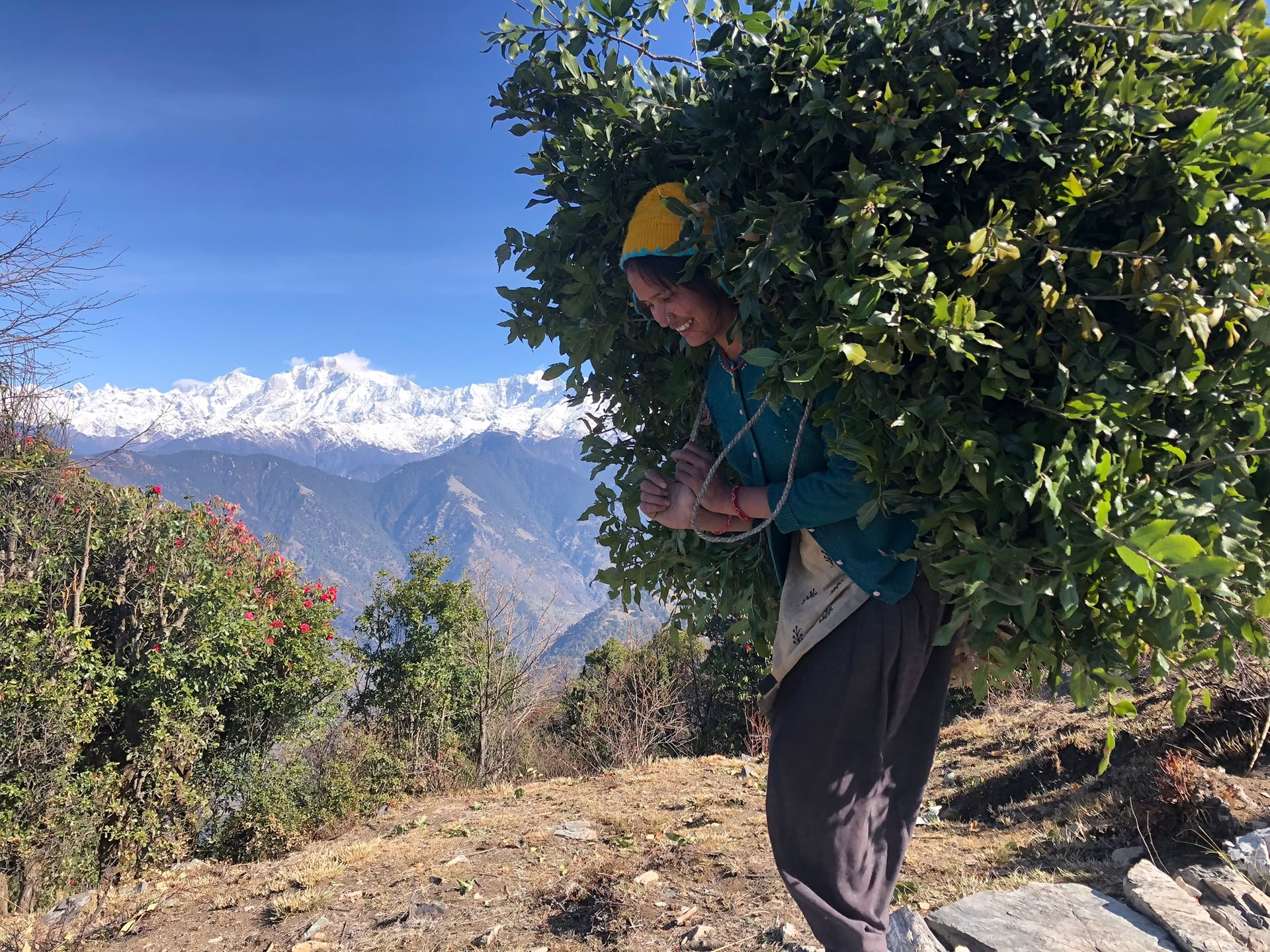 Trekking a Chopta Tungnath