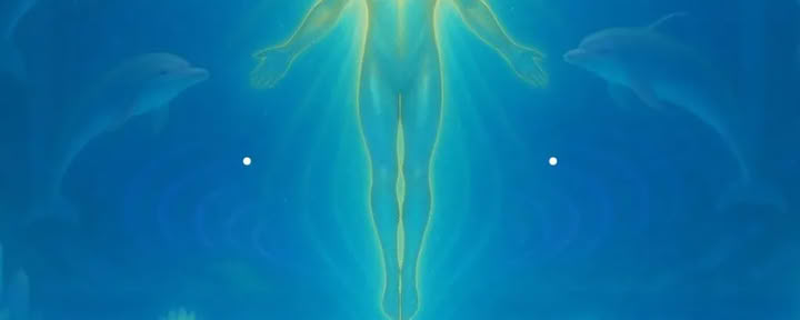 Meditazione della frequenza dei delfini