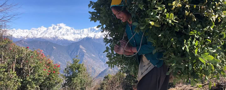 Trekking Chopta-Tungnath