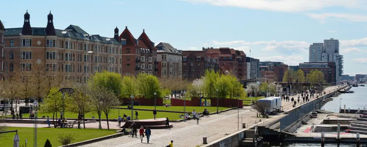 Yoga nel parco: Islands Brygge
