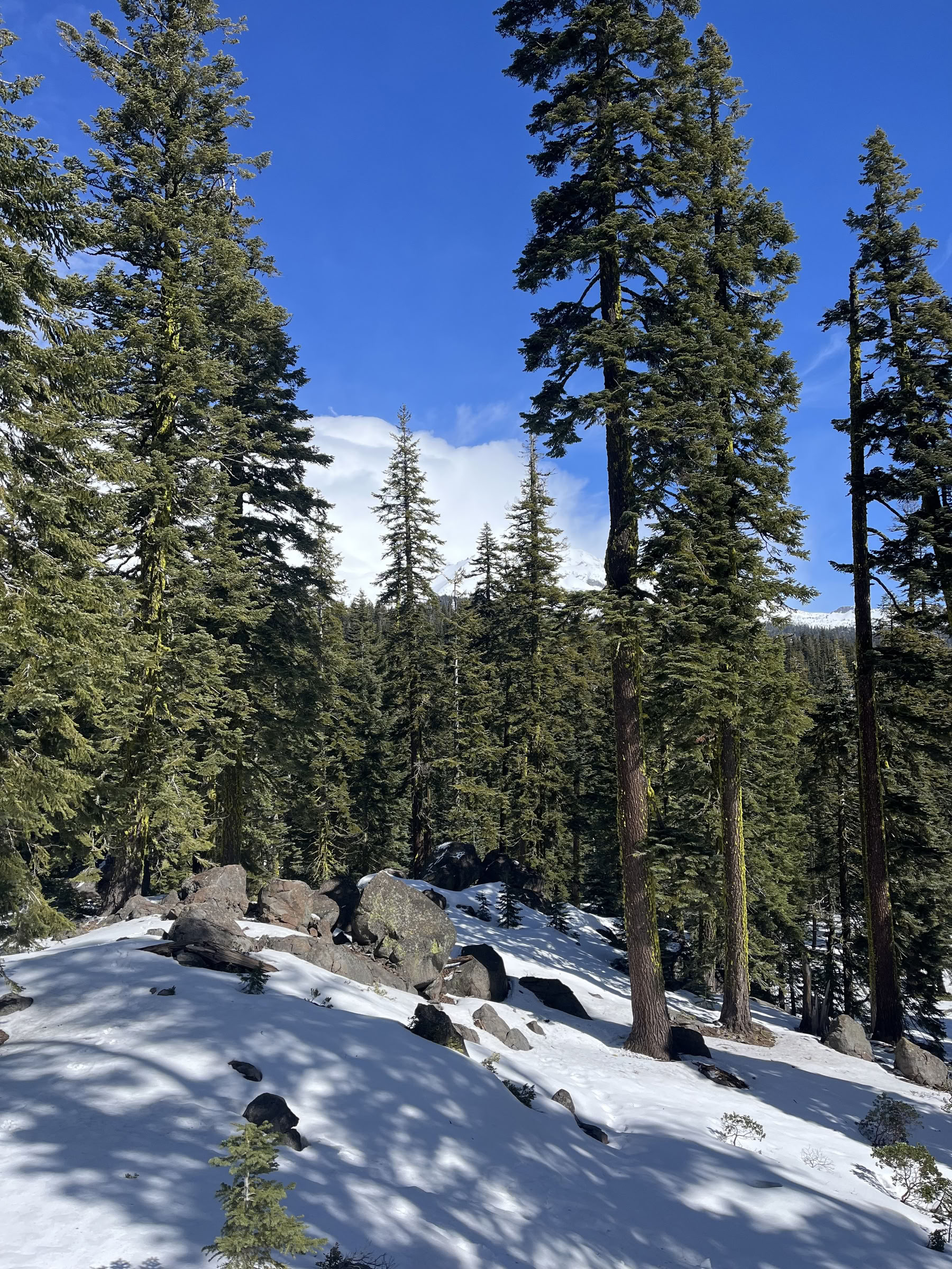 Deep Inner Peace Ritiro: Mt. Shasta, CA