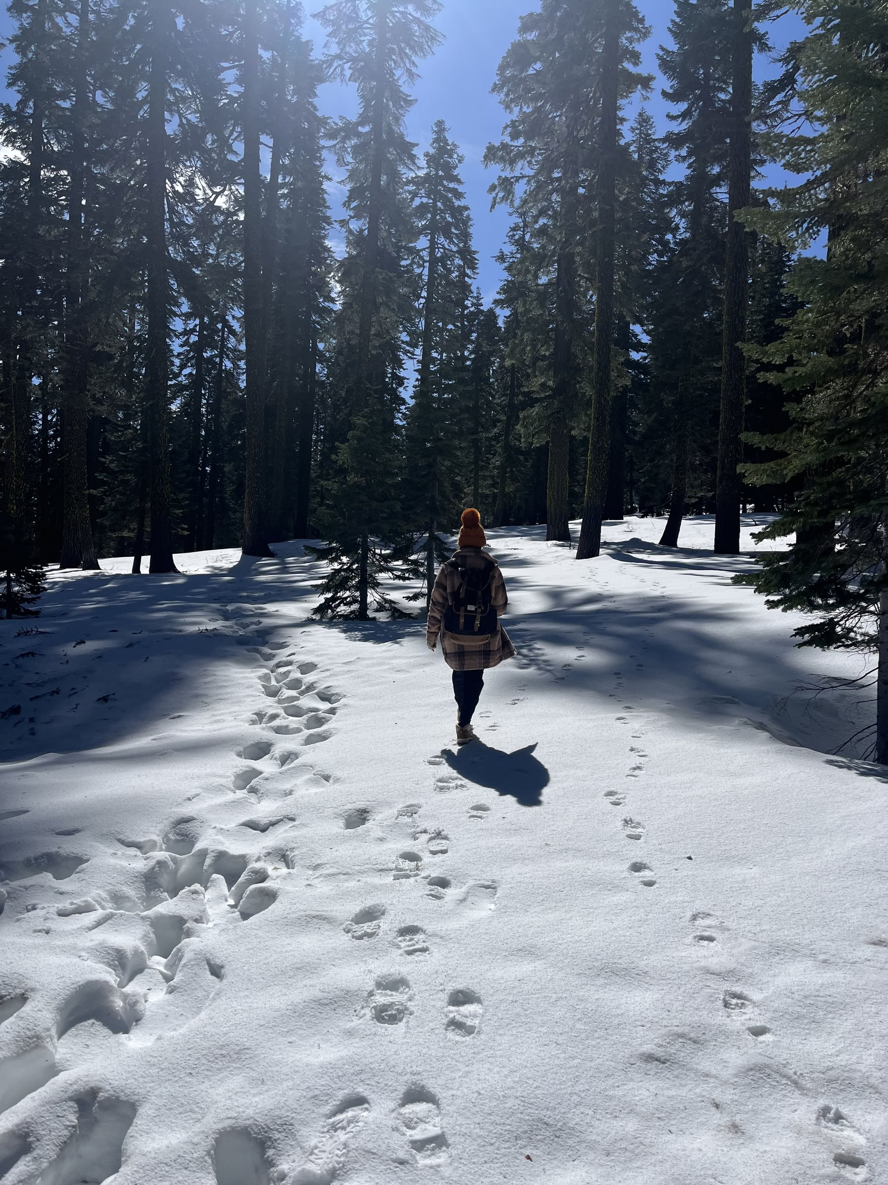 Deep Inner Peace Ritiro: Mt. Shasta, CA