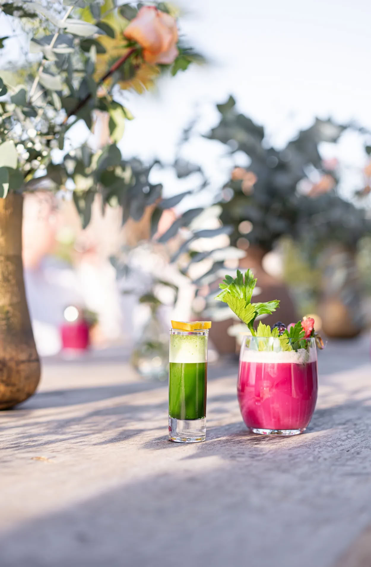 Detox Deluxe Ritiro October