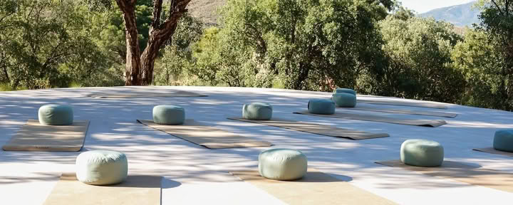 THE LUMINOUS SELF - RITIRO DI YOGA