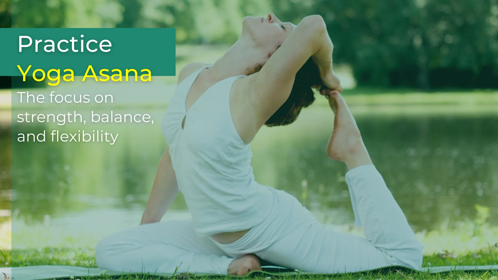 Yoga retreat nei Paesi Bassi: 3 giorni di beatitudine