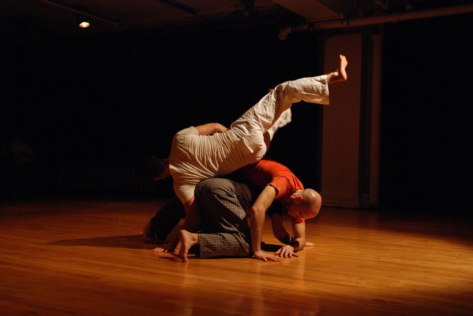 Workshop di Consapevolezza Compositiva nel Contact Improvisation