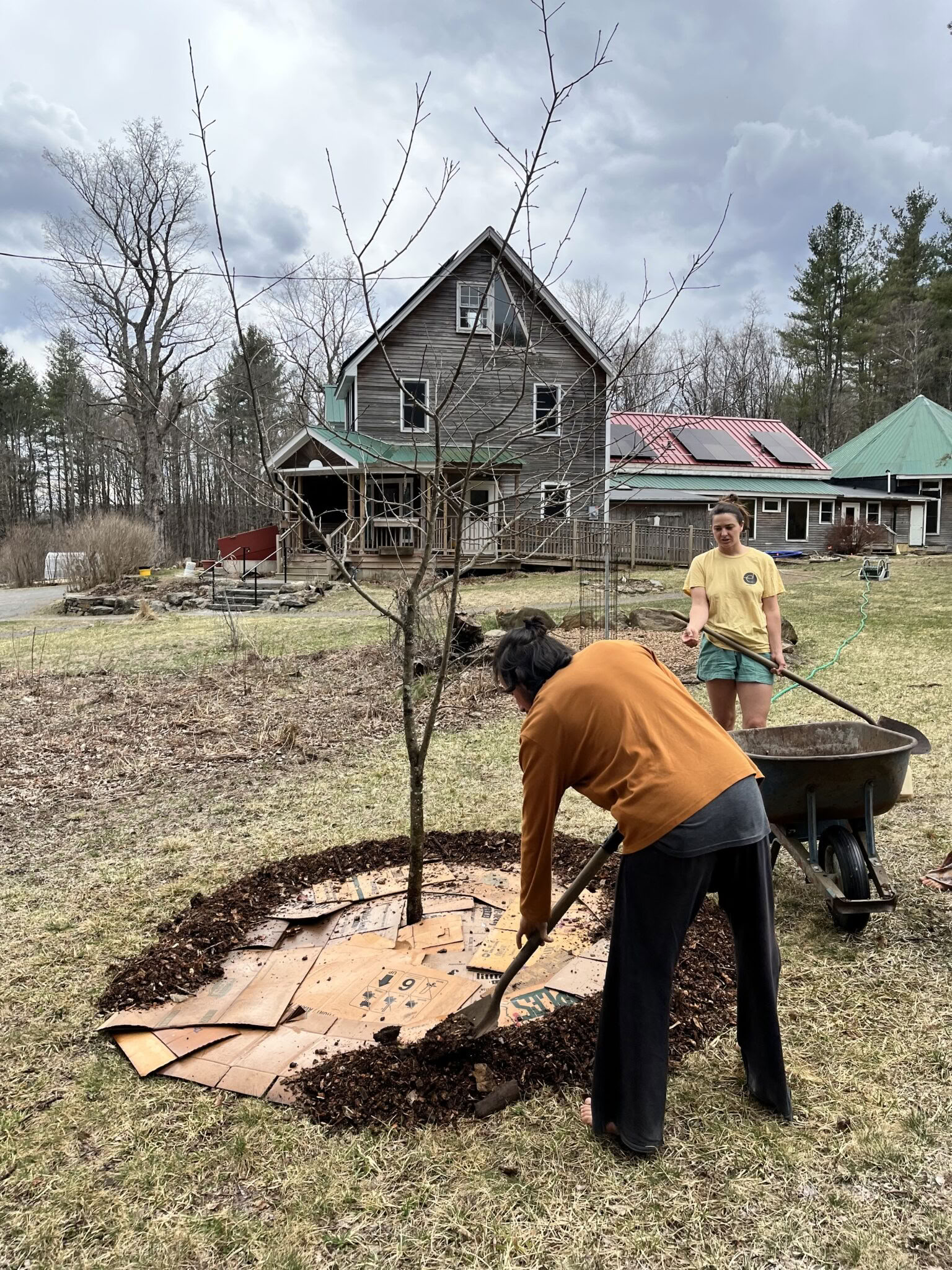 Earthdance Garden 2ª Domenica Giornata di Lavoro Comunitario