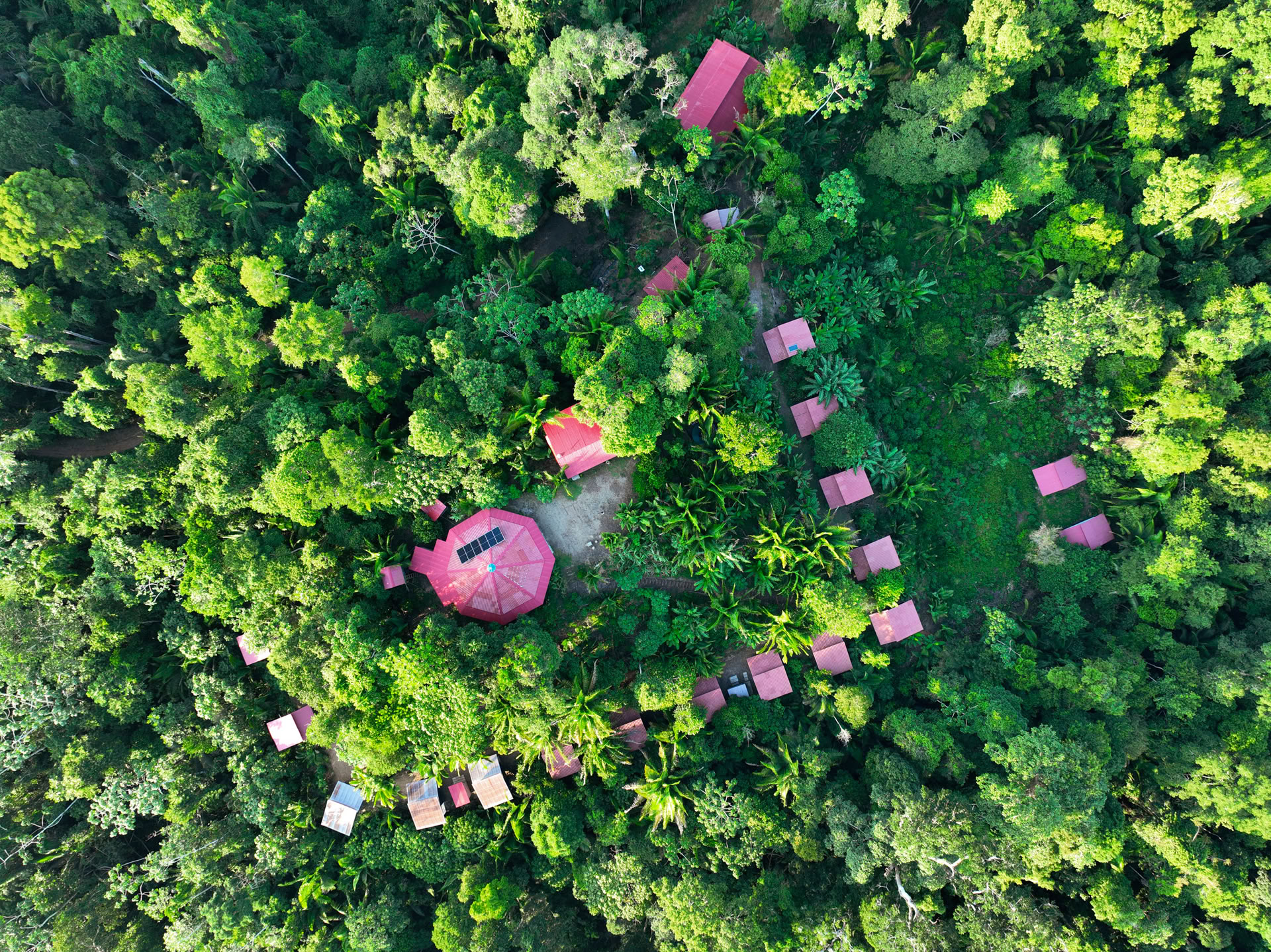 Ritiro Ayahuasca Pucallpa