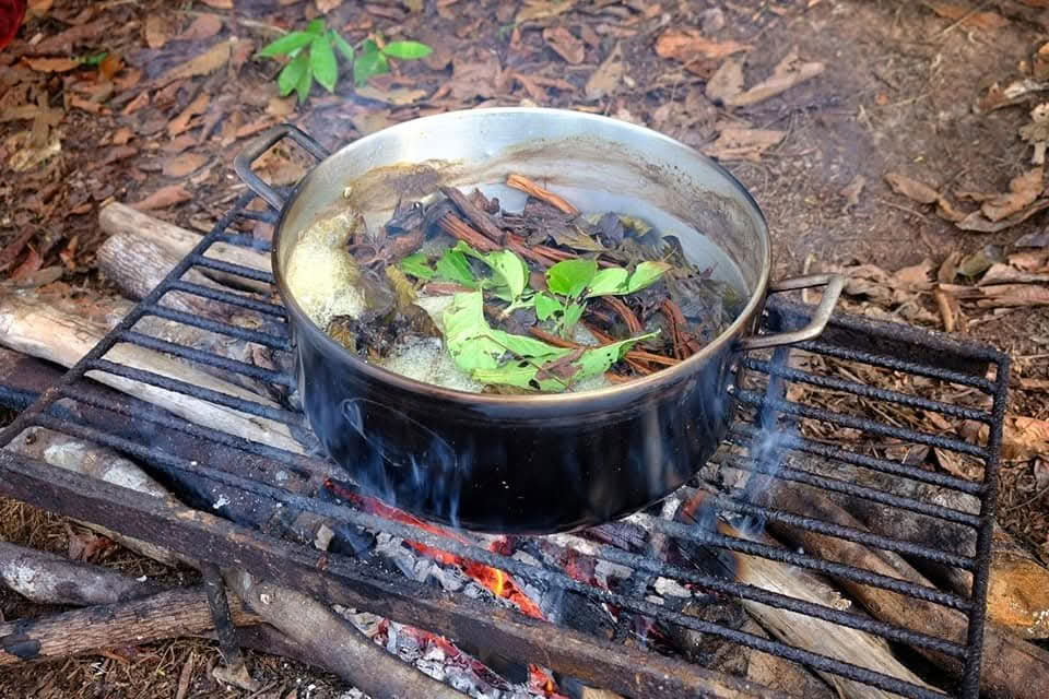 5 giorni Ritiro Ayahuasca Iquitos-Perù