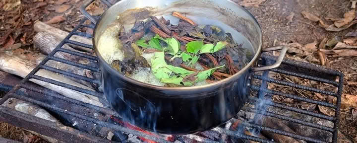 12 giorni di ritiro di Ayahuasca in Perù presso Selva Madre
