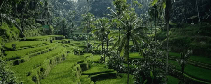 Bali Bound: Viaggio verso la pace interiore