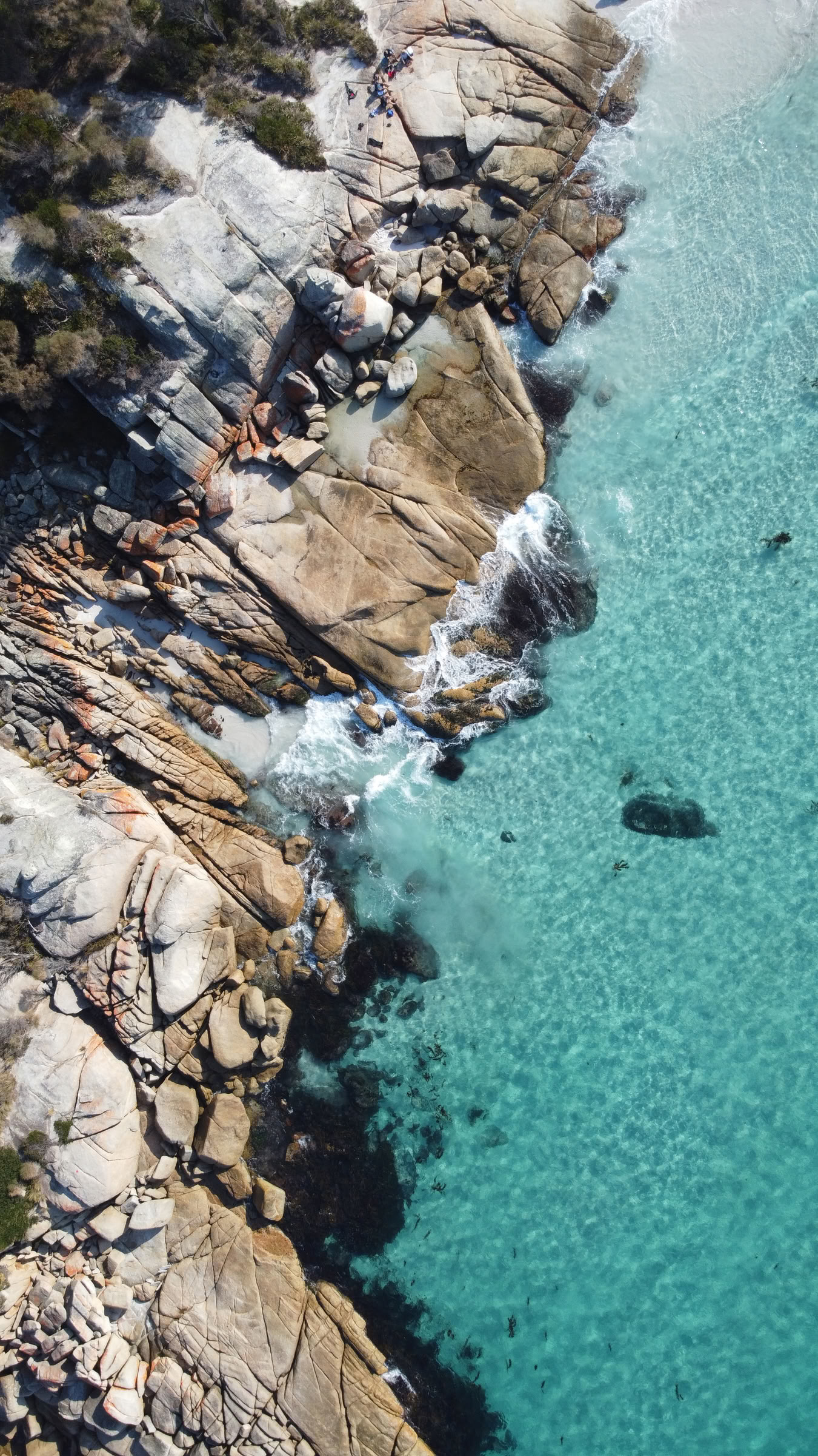 Tasmania, Yoga & Escursione