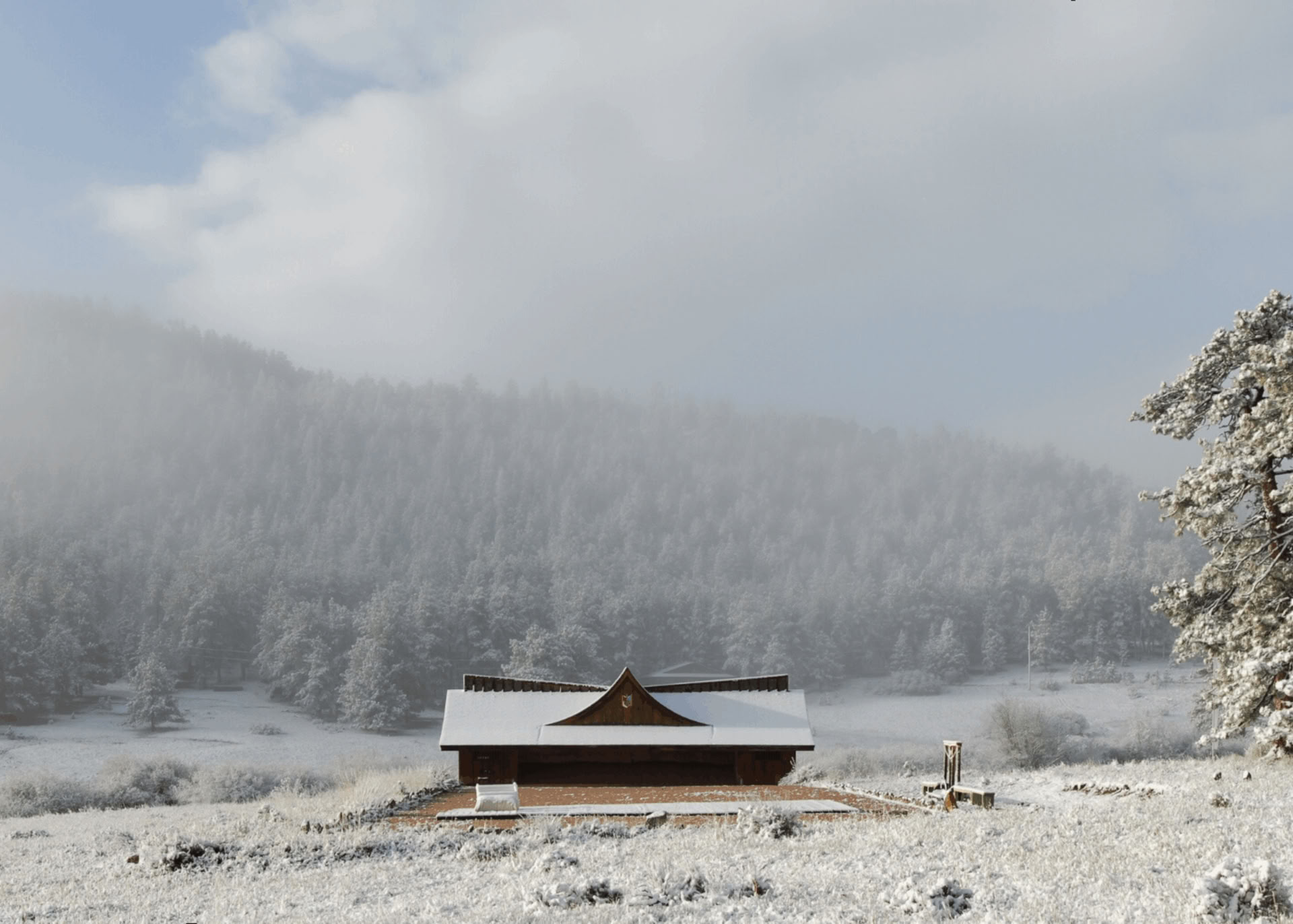 Healing the Heart: Un ritiro di yoga e zen in silenzio