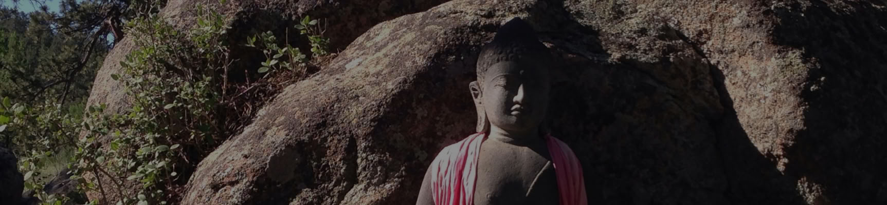 Proclamare la sana normalità di base: vivere il sentiero del Bodhisattva