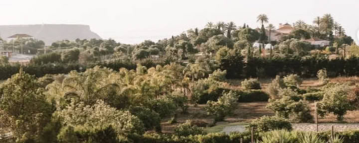 Experience All Aspects of Yoga Ritiro