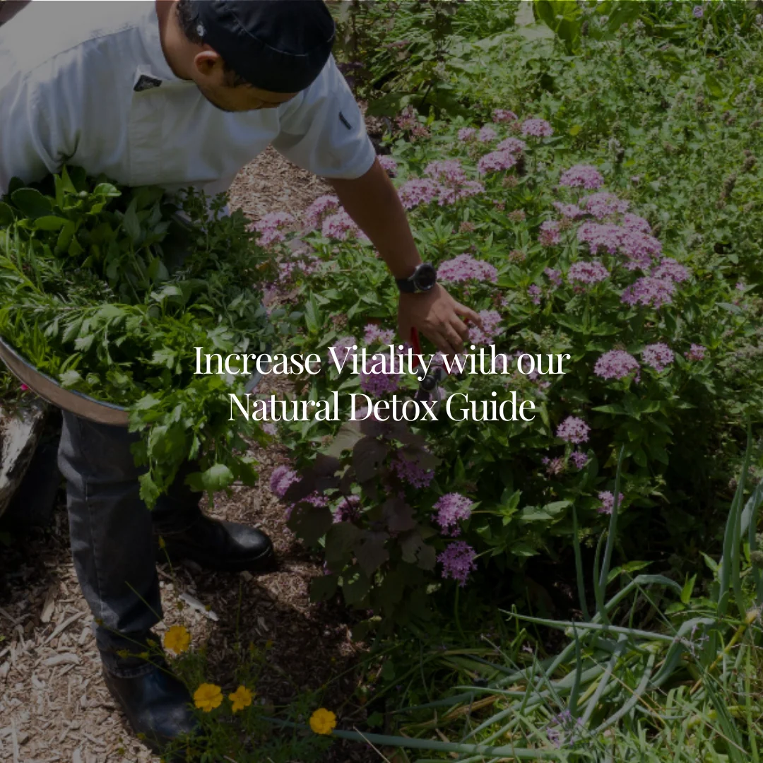 Ultimate Wellness Ritiro