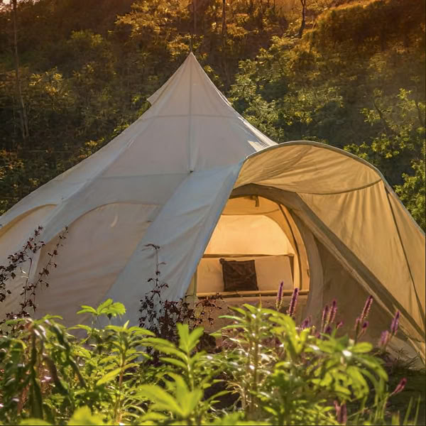 Ritiro intimo di Ayahuasca
