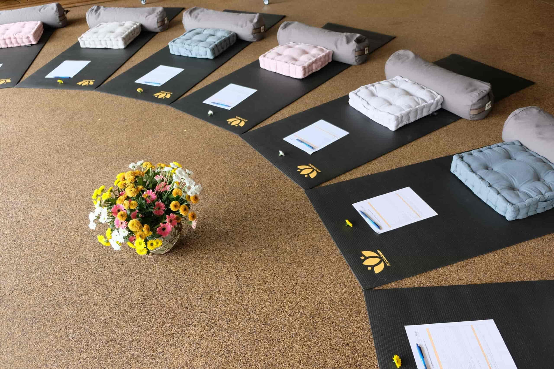 50 ore di formazione Yoga Nidra Germania