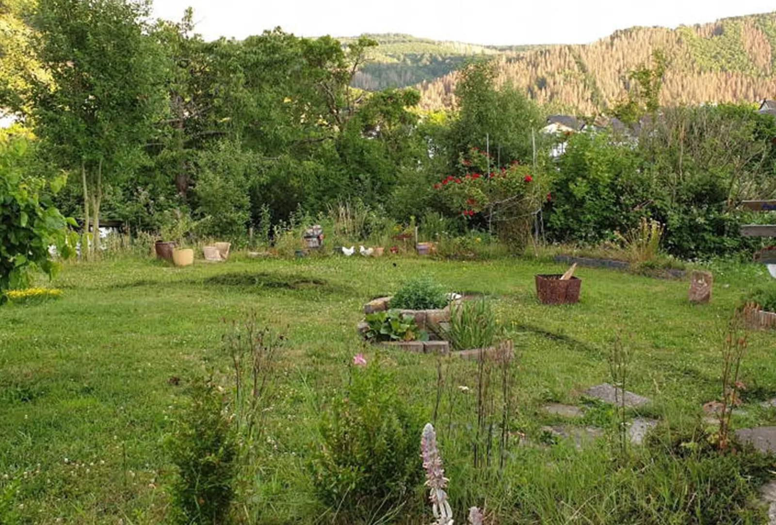 Ritiro di Yoga di 6 Giorni a Heimbach, Eifel — Maggio 2026