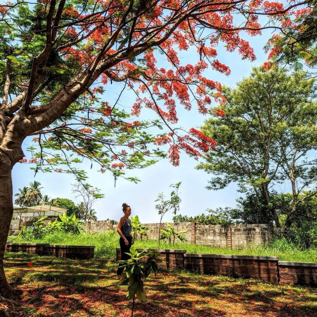 Corso di Yoga Sutra di Patanjali