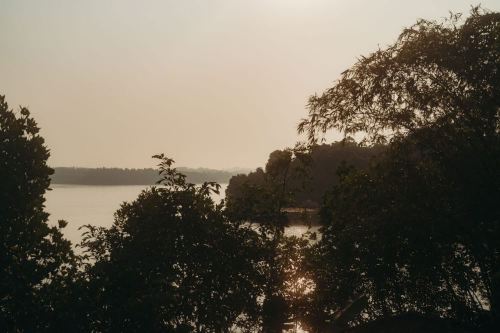 Corso di formazione insegnanti di Yoga Vinyasa Synergy di 200 ore – settembre 2026