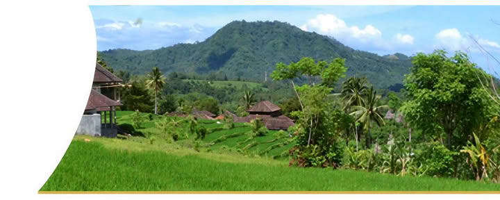 Settimana di guarigione a Bali