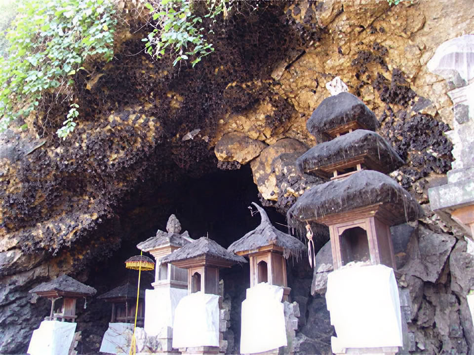 Tour della costa orientale