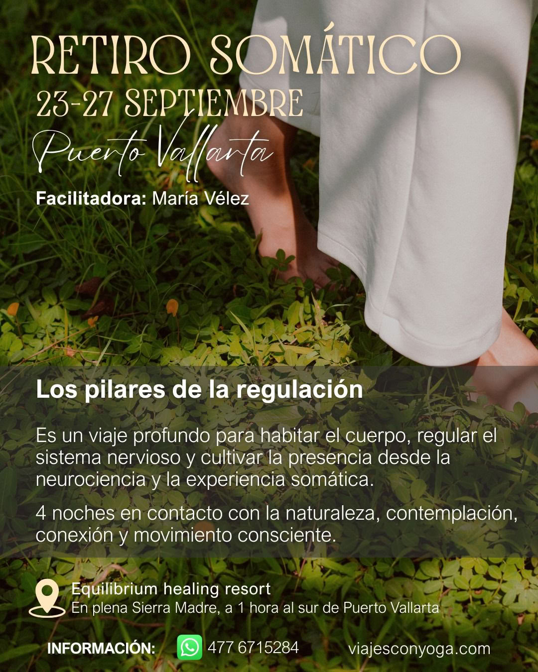 Sacred Shores – Ritiro di Yoga