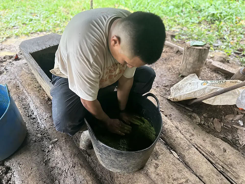 Medicine Maker Ritiro di Ayahuasca con Taita Miguel