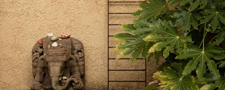7 Giorni Silenzio – Detox – Ritiro di Movimento