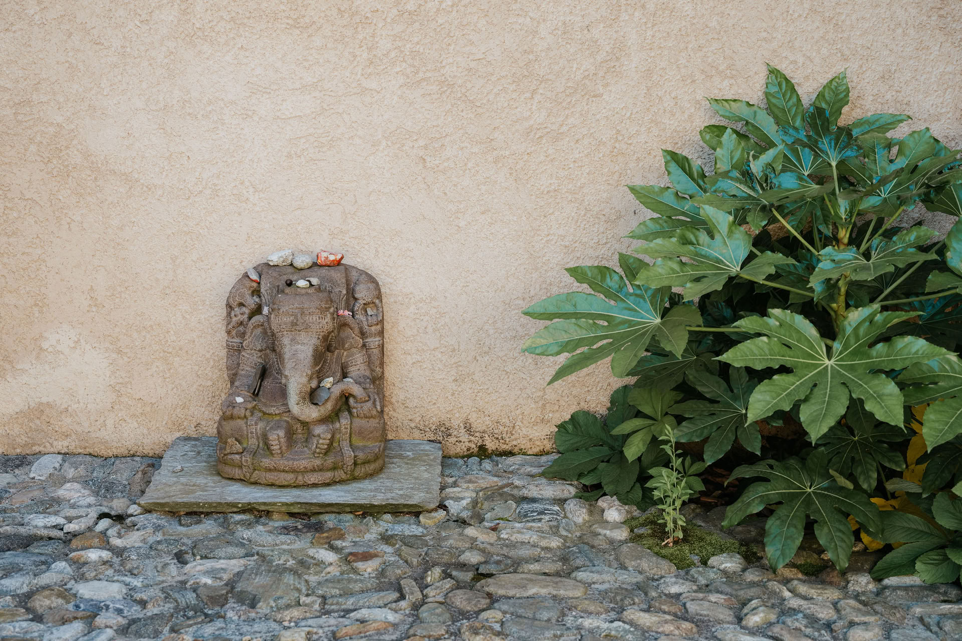 Yin Yoga Ritiro della quiete interiore