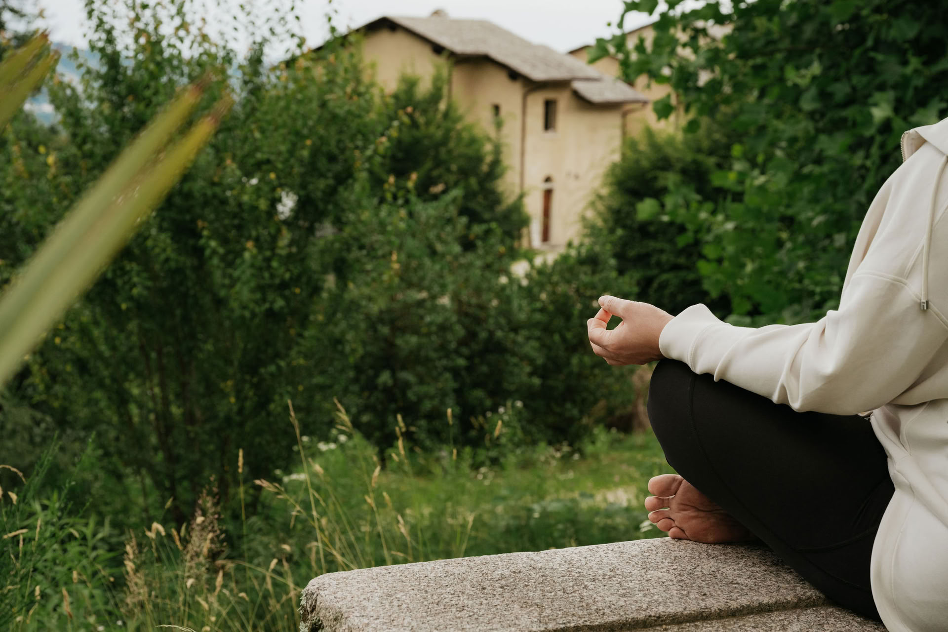 The Pearl — Connessione, Integrazione ed Espressione