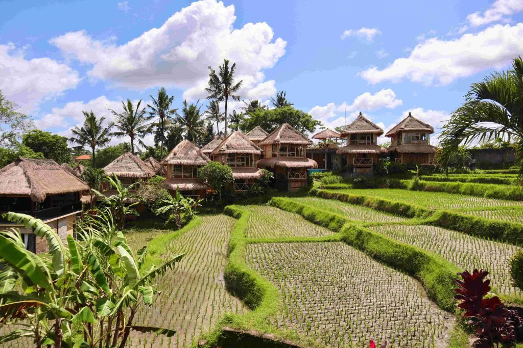 200 Ore di Formazione Insegnanti di Yoga Ubud, Bali | Corso RYT 200 – 12 lug - 1 ago