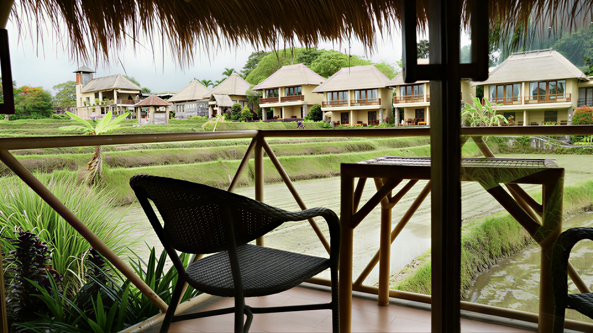 200 Ore di Formazione Insegnanti di Yoga Ubud, Bali | Corso RYT 200 – 30 Ago - 19 Set