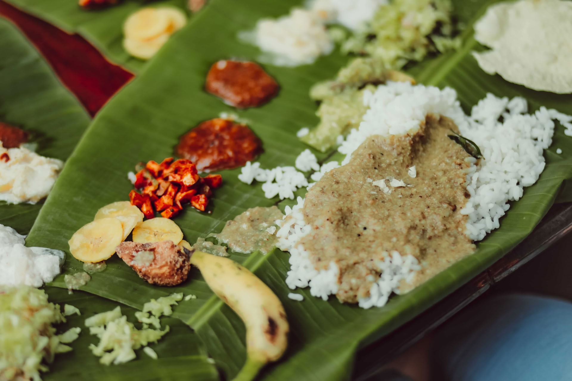 Sound Healing Course a Varkala, Kerala