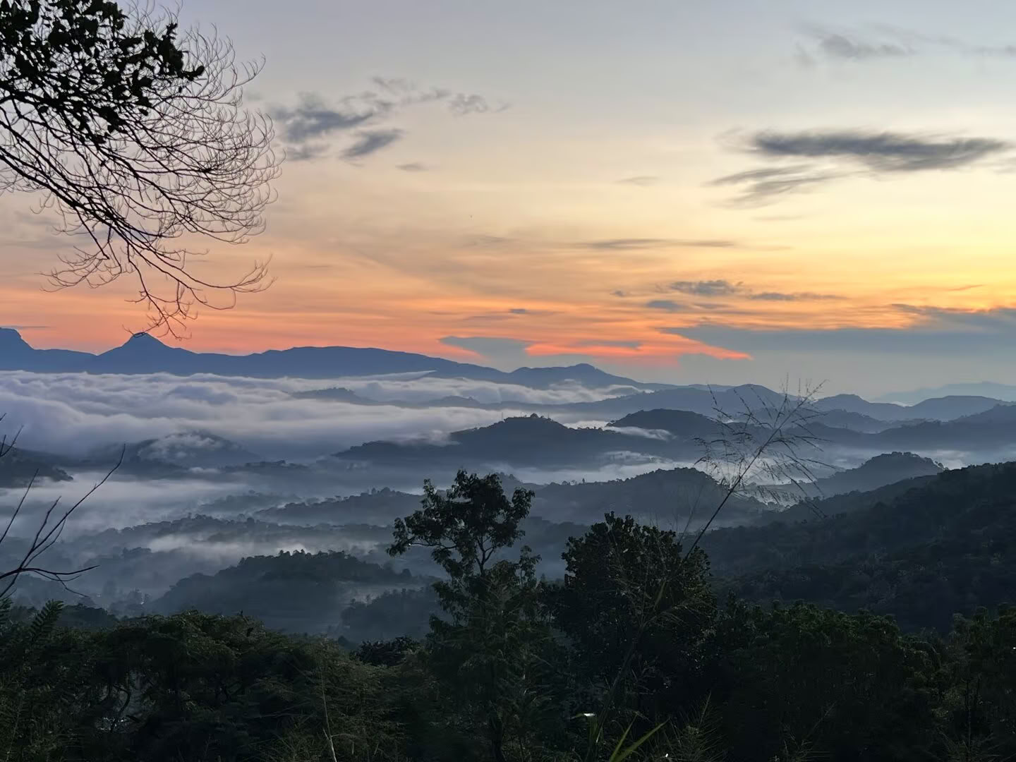 Yoga, Viaggi e Ayurveda in Sri Lanka: Un'avventura per l'anima