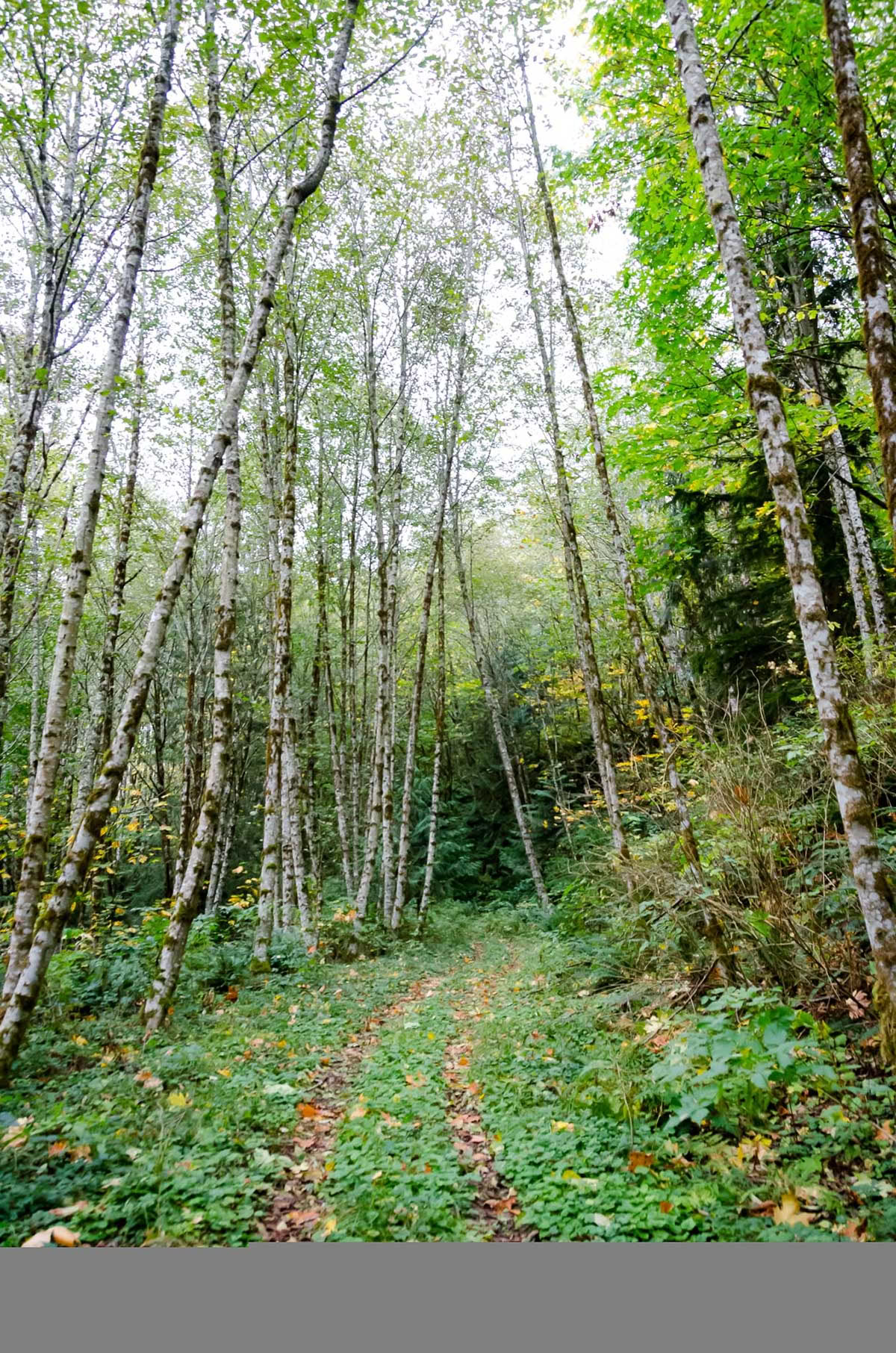 Ritiro di Yoga e Meditazione dell'Equinozio d'Autunno