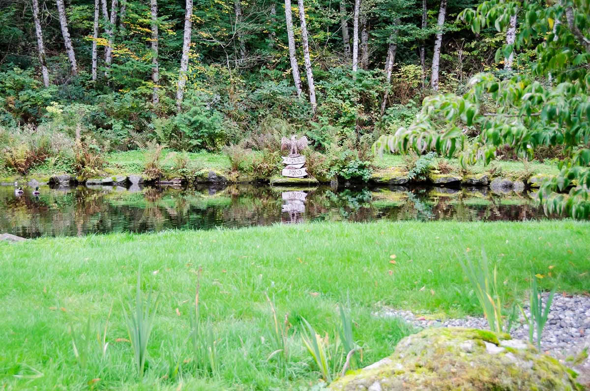 Ritiro di Yoga e Meditazione dell'Equinozio d'Autunno