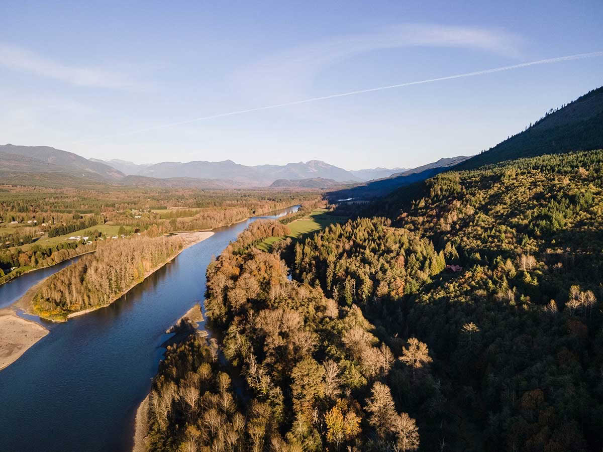 Detox Ritiro – Pulizia Autunnale