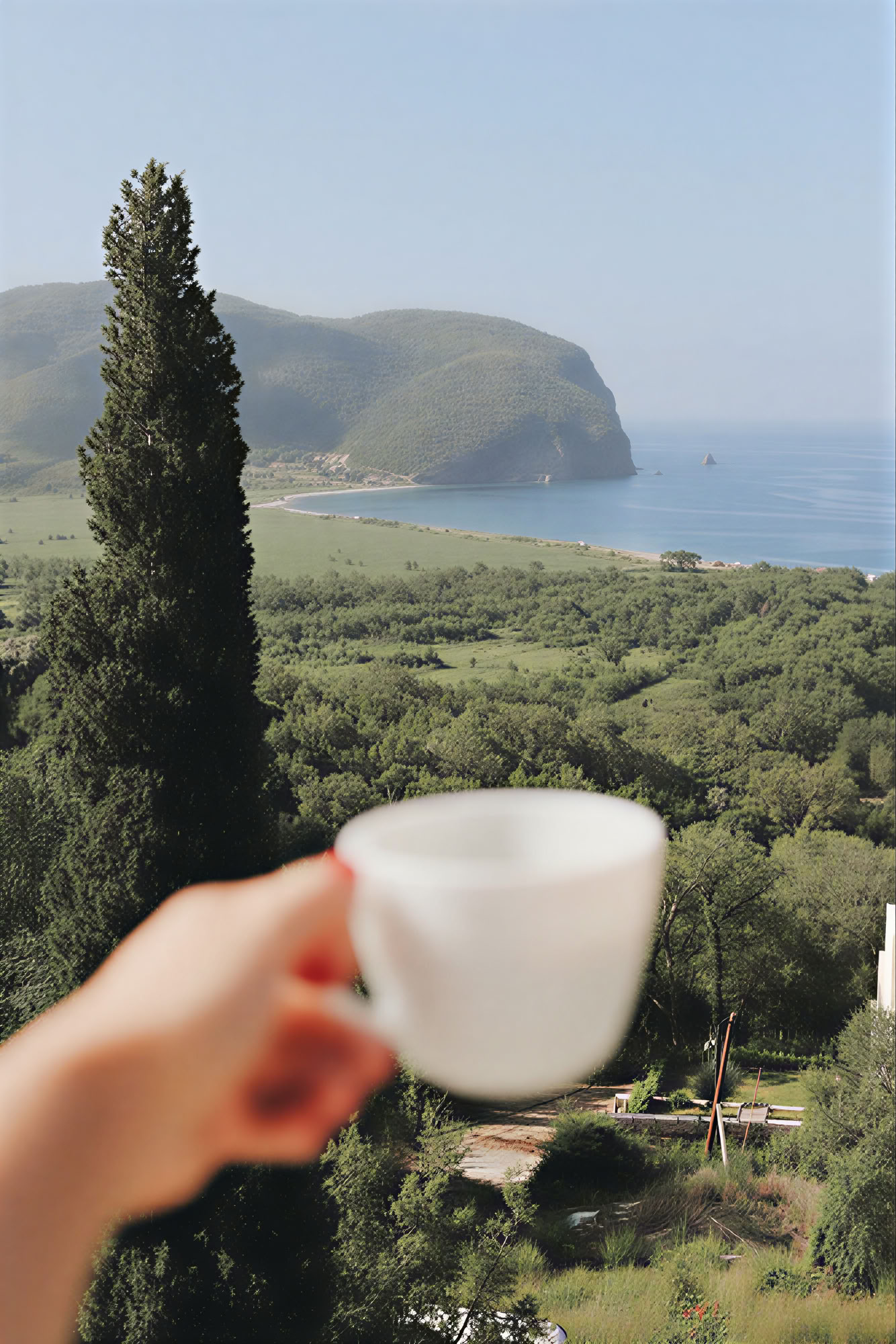 Yoga, Detox e Ritiro di cucina alle erbe by Dr Lemm