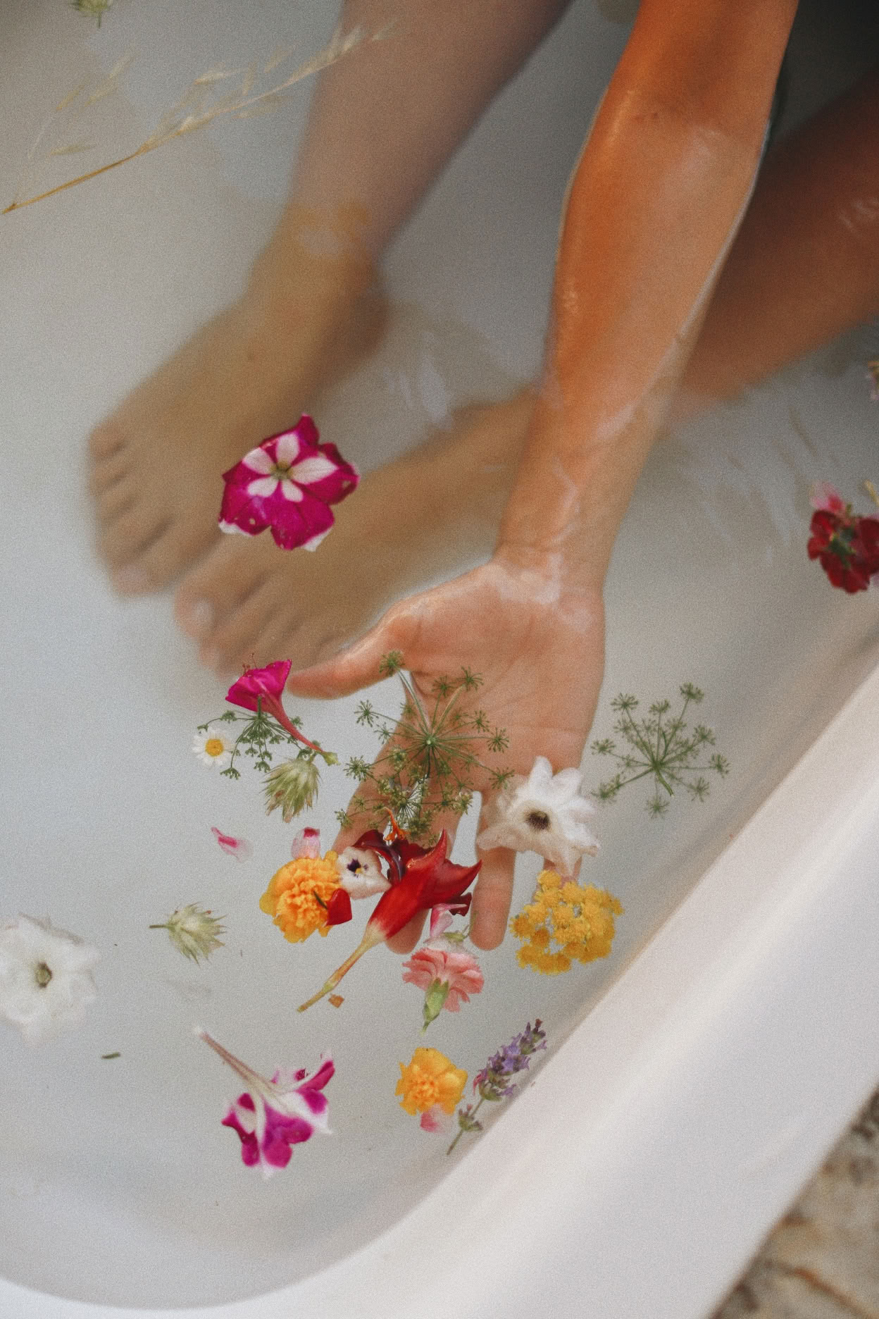 Yoga, Detox e Ritiro di cucina alle erbe by Dr Lemm