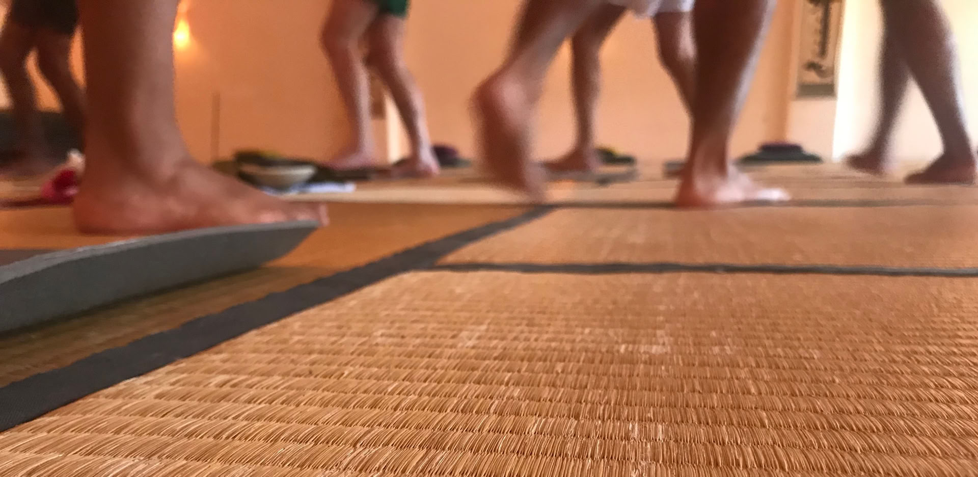 Classe Iyengar