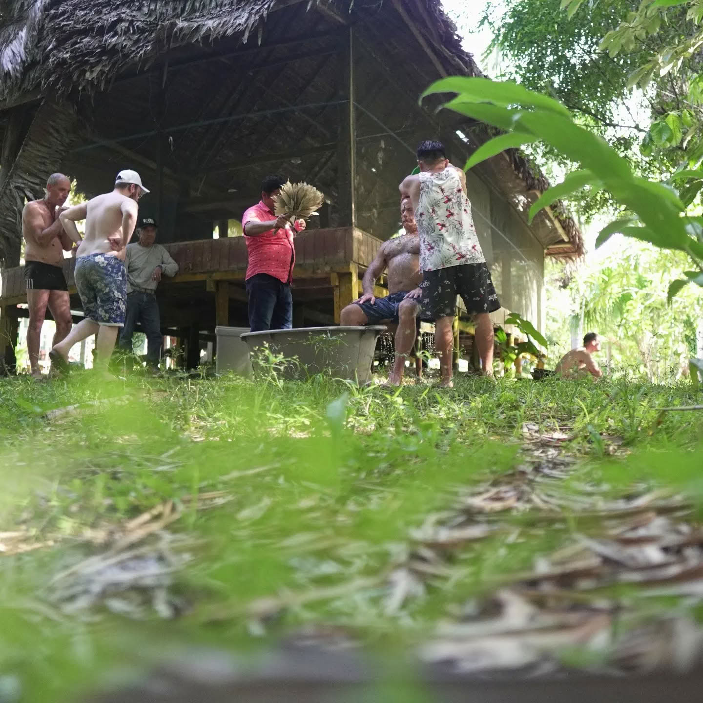 7 giorni di ritiro di Ayahuasca