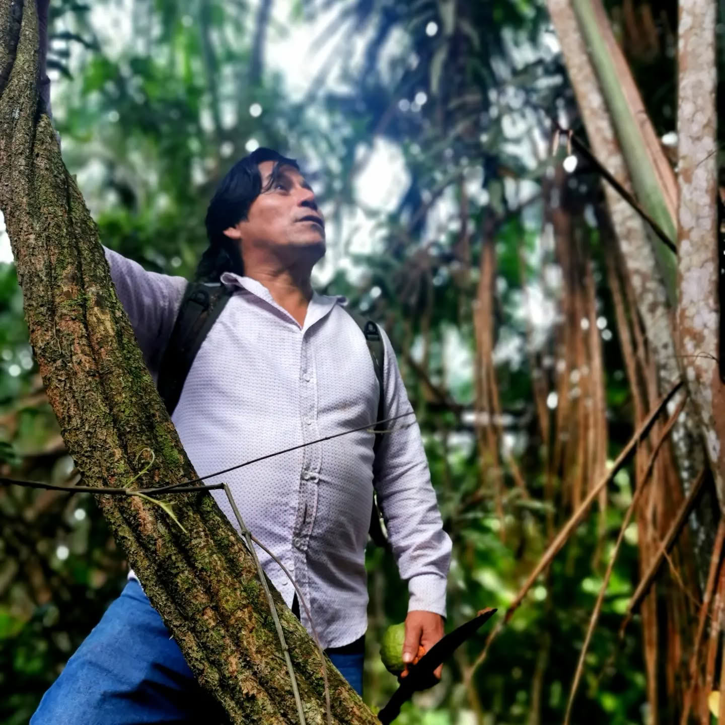 7 giorni di ritiro di Ayahuasca