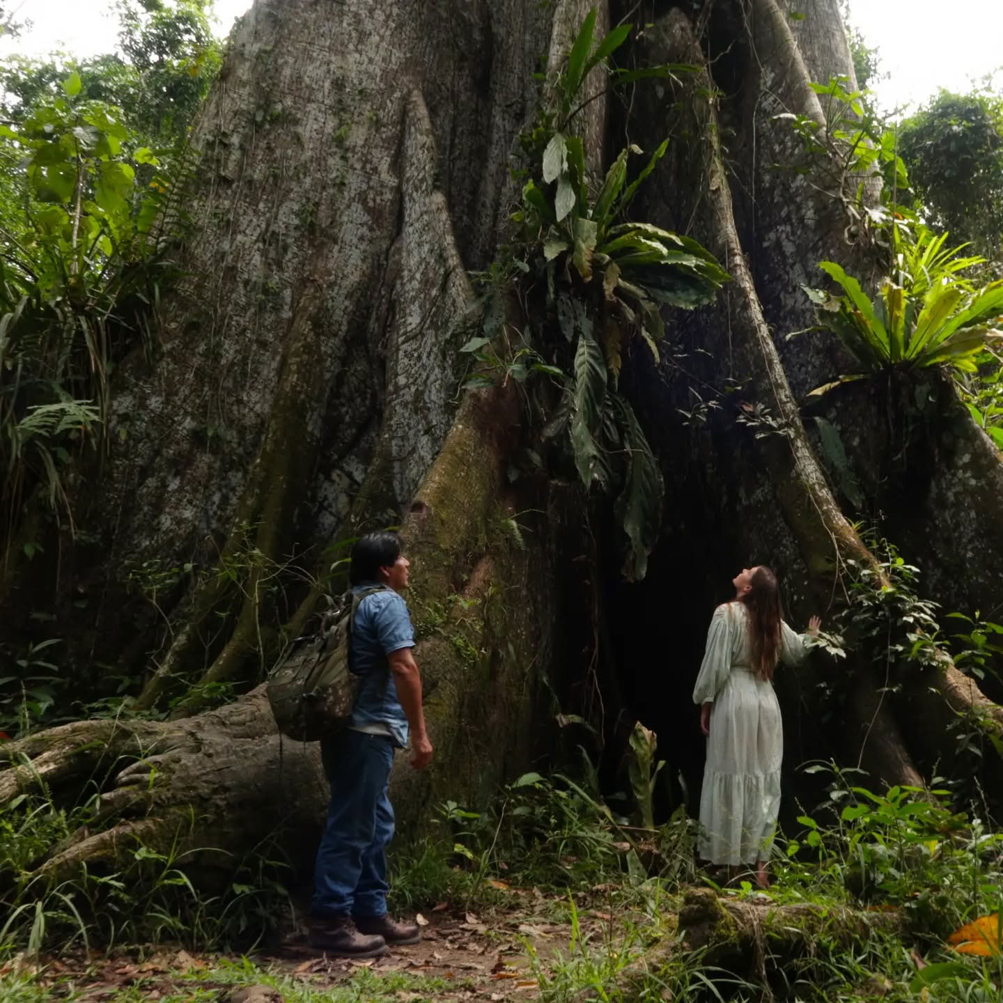 Ritiro di Ayahuasca di 14 Giorni